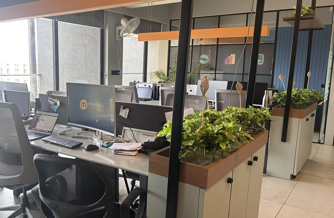 Workstations with monitors and indoor plants in the Mindphin office